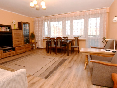 Mieszkanie Toruń