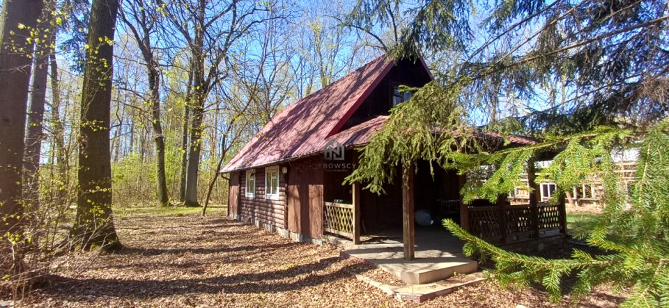 Działka Wiązowna