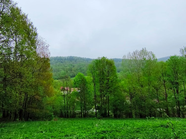 Działka Konradów