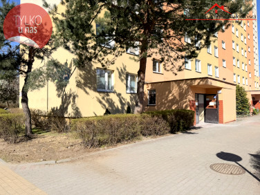 Mieszkanie Toruń