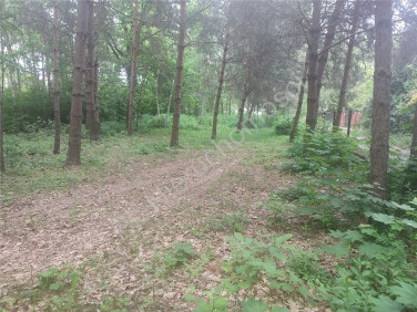 Działka budowlana Komorów