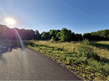 Działka Rybarzowice
