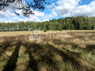 Działka rolna Komarowo
