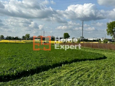 Działka budowlana Żórawina
