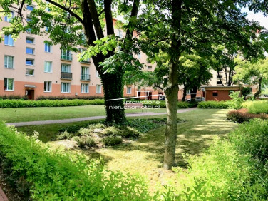 Lokal Warszawa