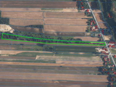 Działka inna Miechów
