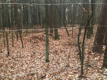 Działka budowlana Konstancin-Jeziorna