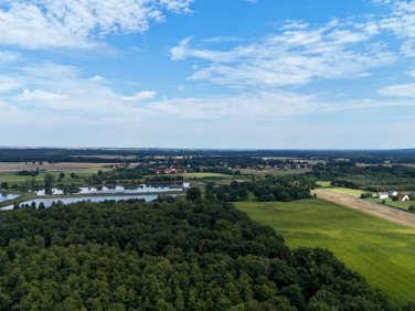 Działka Wołów