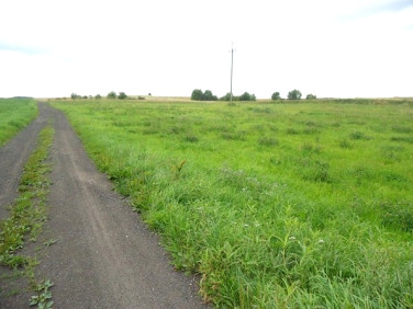 Działka Sorkwity