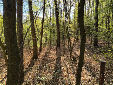 Działka Zgierz