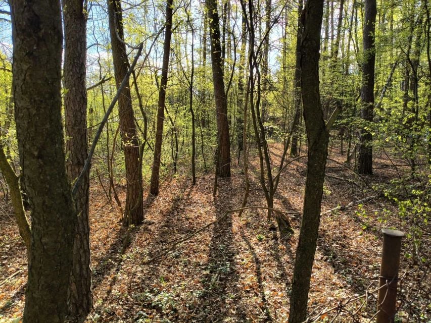 Działka Zgierz