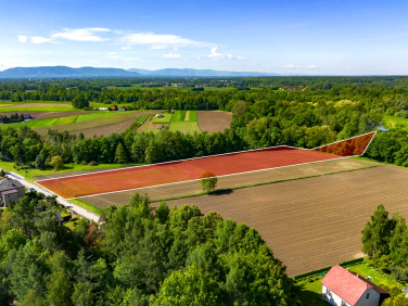Działka Grojec