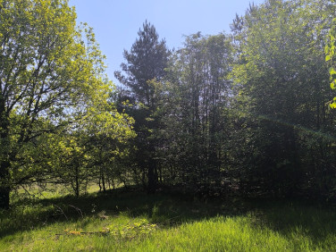 Działka inna Bartoszówka