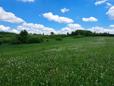 Działka rolna sprzedam