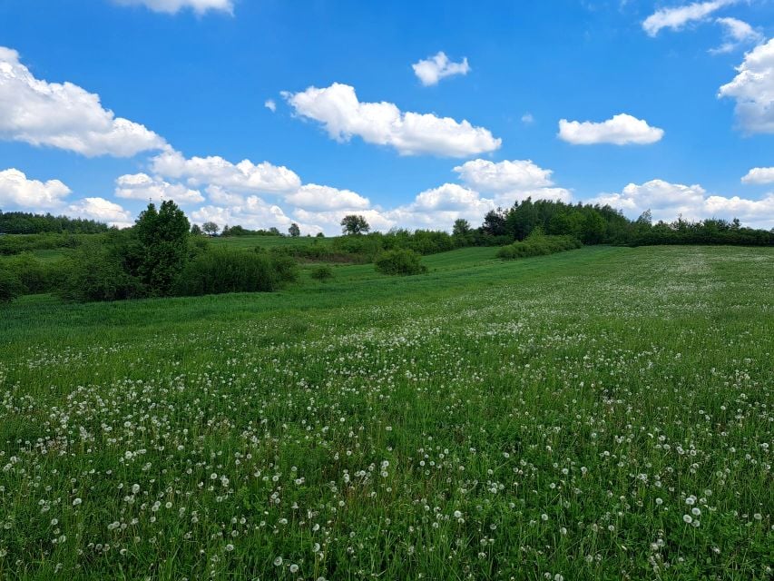Działka rolna sprzedam