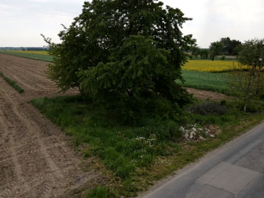 Pusta działka Uszczyn