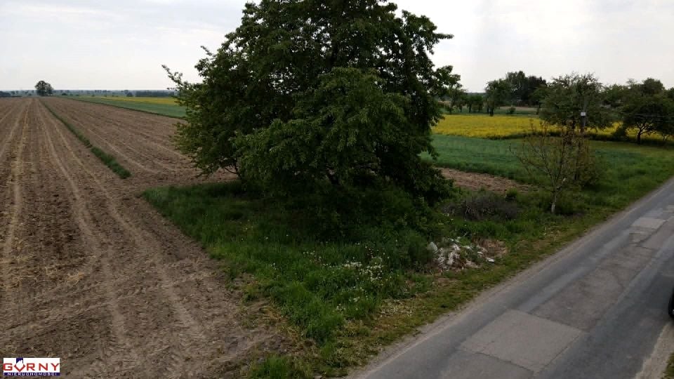 Pusta działka Uszczyn