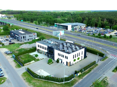 Lokal Toruń