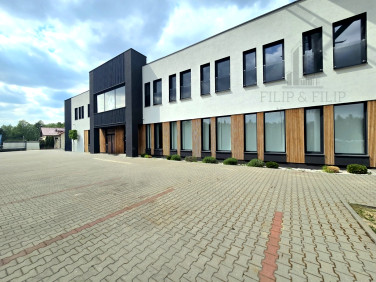Lokal Toruń