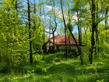Działka budowlana Warszawa