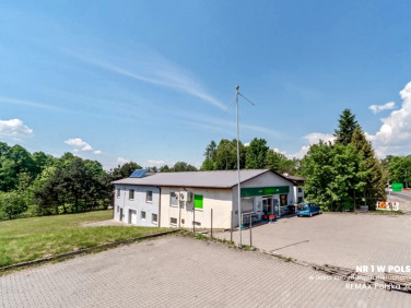 Lokal Czechowice-Dziedzice