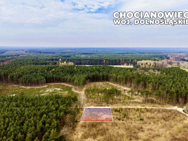Działka Chocianowiec