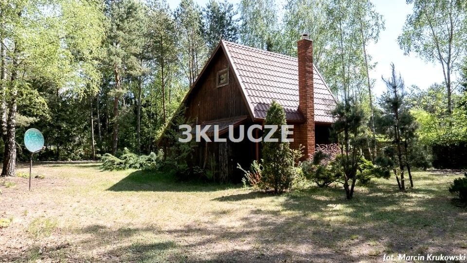 Zdjęcie 2