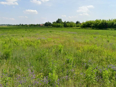 Działka inwestycyjna Warszawa