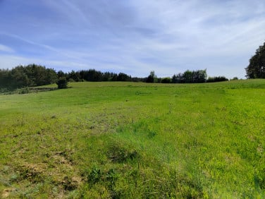 Działka Kobysewo