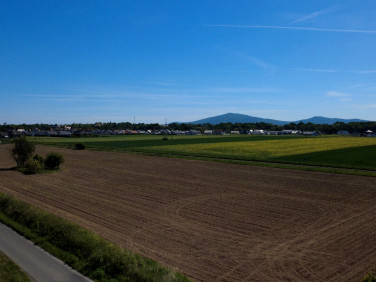 Działka Świdnica