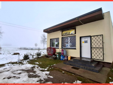 Lokal Jeziorki