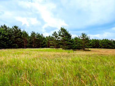 Działka Wojtal