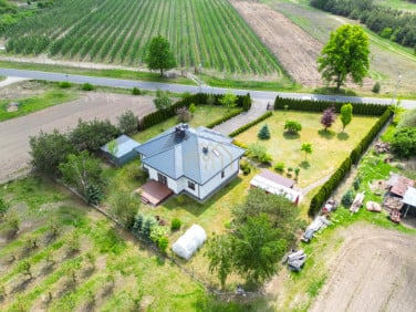 Dom Ossa