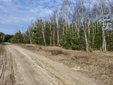 Działka inna Tyczyn