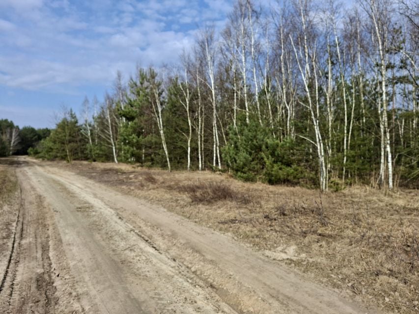 Działka inna Tyczyn