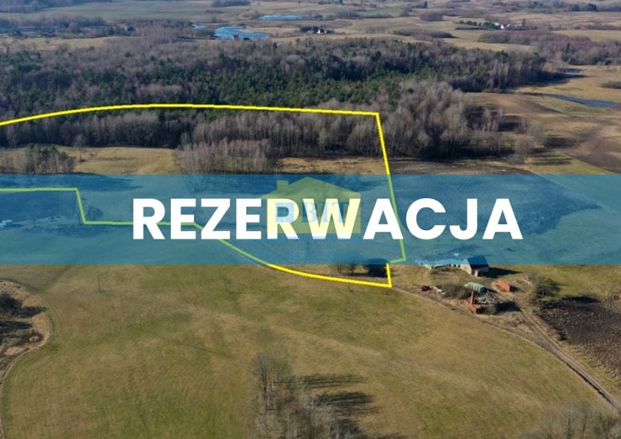 Działka przy lesie