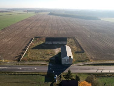 Działka Berdychowo