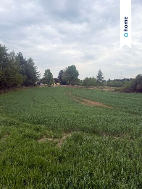 Zdjęcie 3