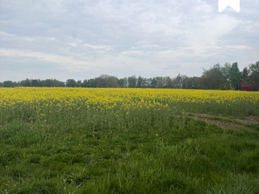 Działka budowlana Ołużna