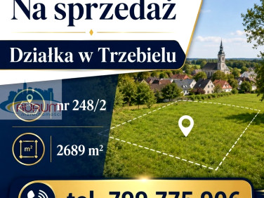Działka budowlana Trzebiel