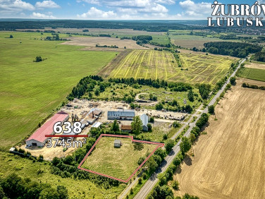Działka Żubrów