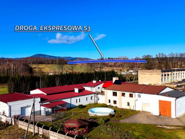 Lokal Kamienna Góra