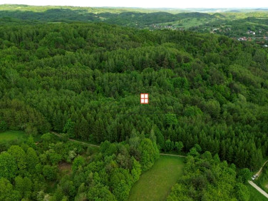 Działka Nienadowa