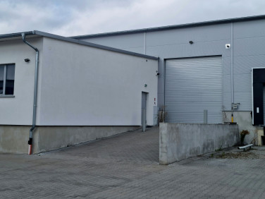 Lokal Robakowo wynajem