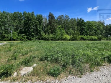 Działka Kajetany
