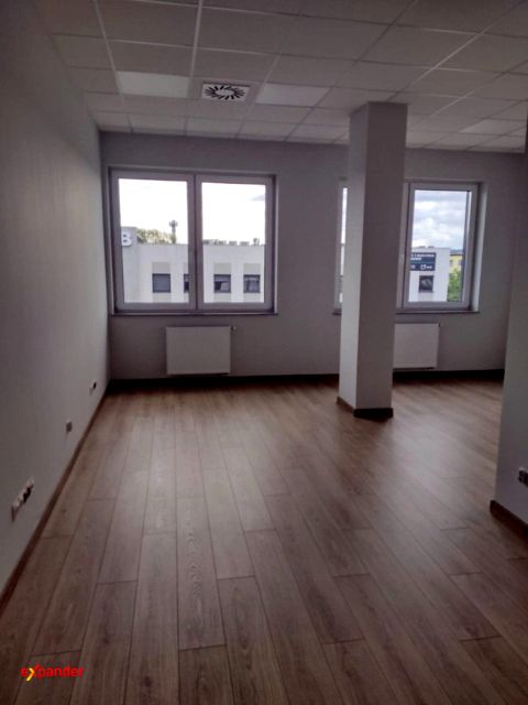 Lokal Rzeszów