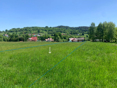 Działka Kuków