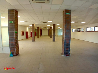 Lokal Rzeszów