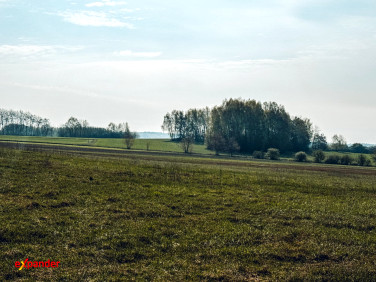 Działka rekreacyjna Parzynów sprzedam