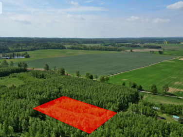 Działka Borcz